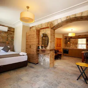 Castle Boutique Habitación en casa particular